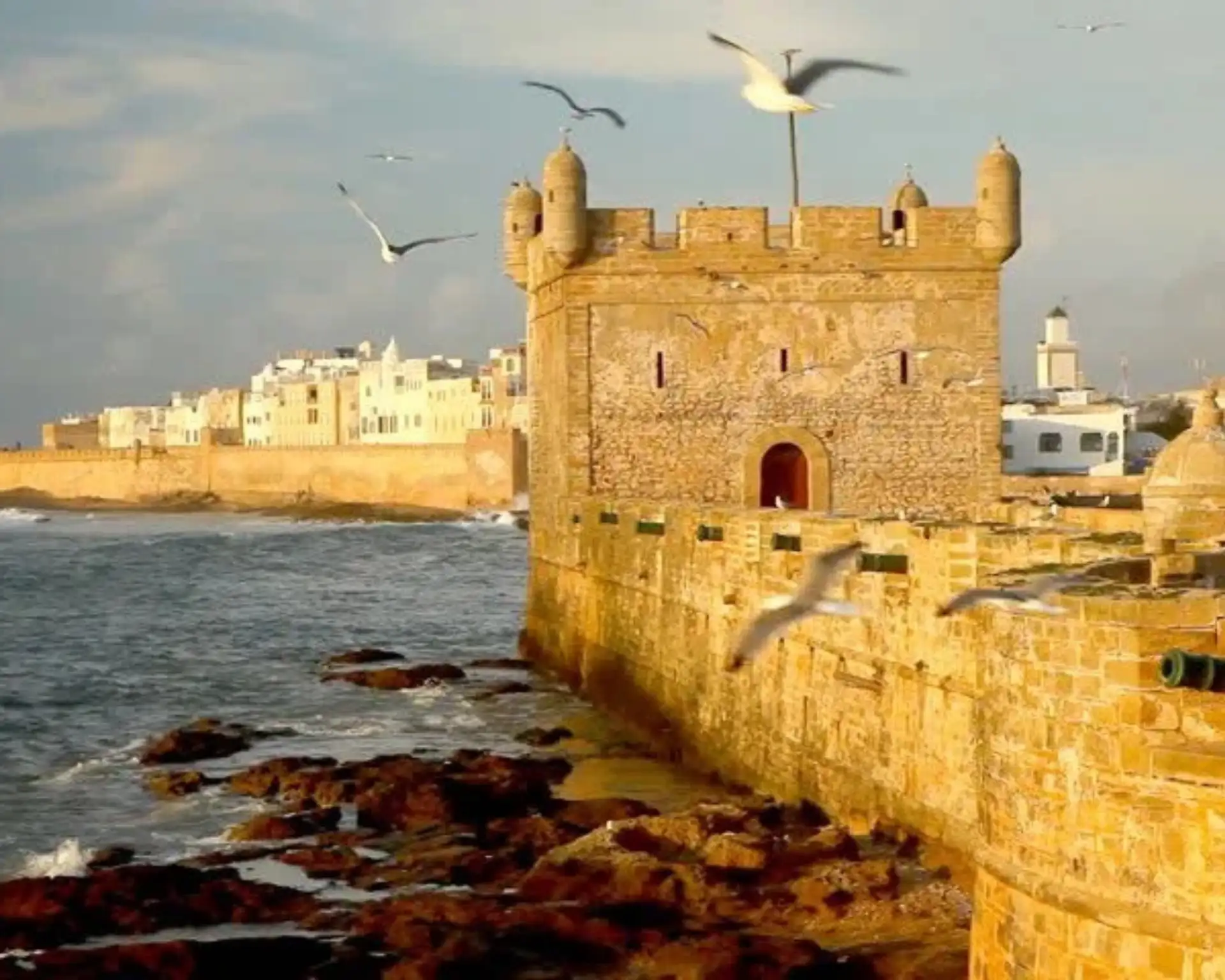 Essaouira Day Trip — coastal — in Marrakech — gallery photo 4
