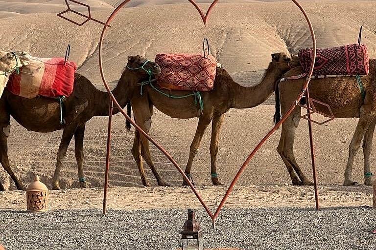 Agafay Quad + Camel + Dinner Show — desert — in Marrakech — gallery photo 2