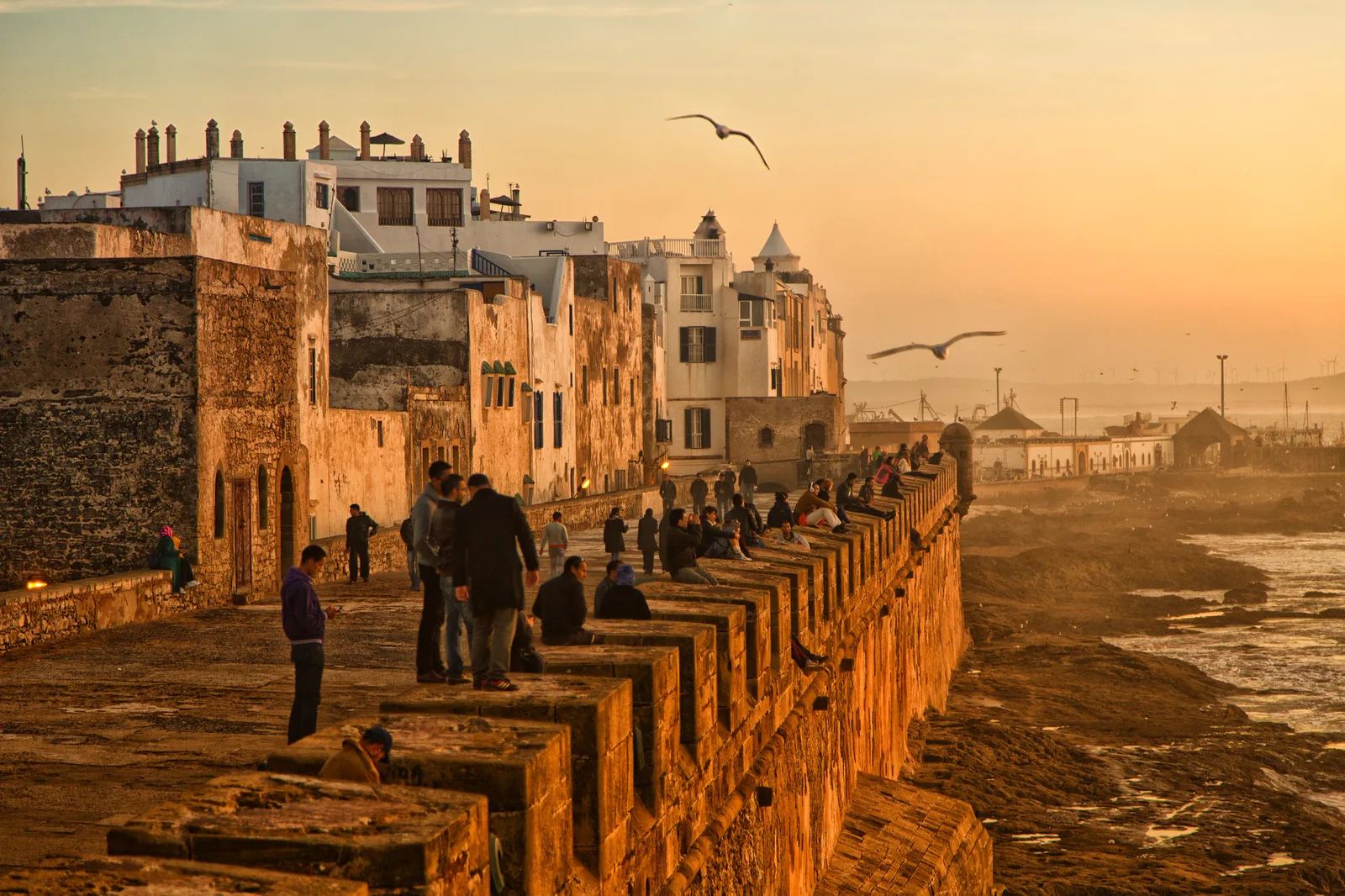 Essaouira Day Trip photo 9