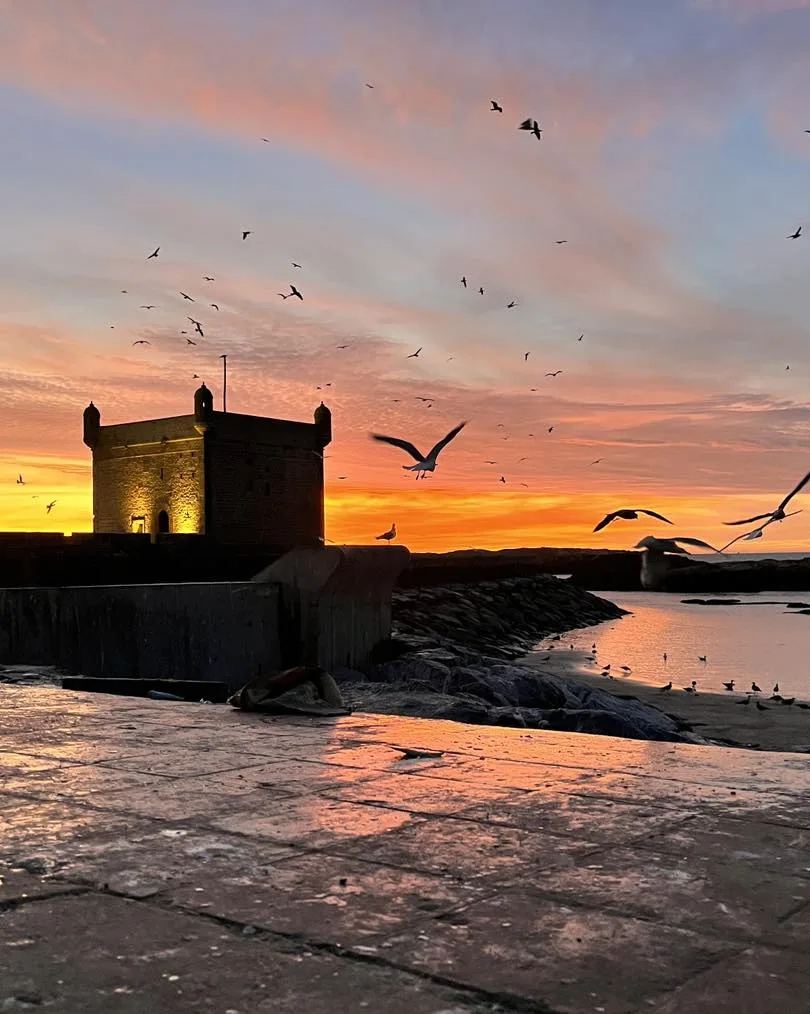 Essaouira Day Trip photo 6